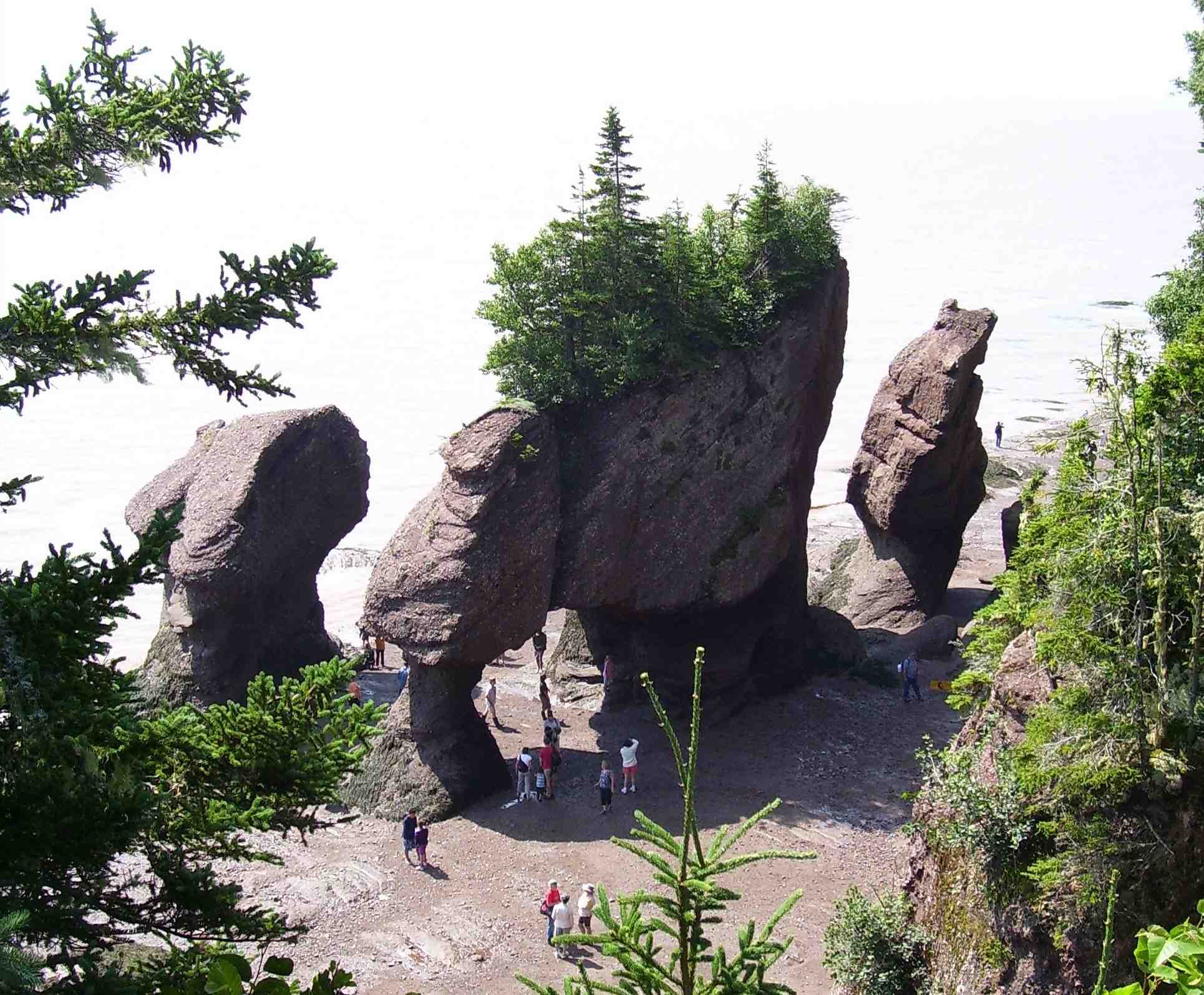 Hopewell Rocks