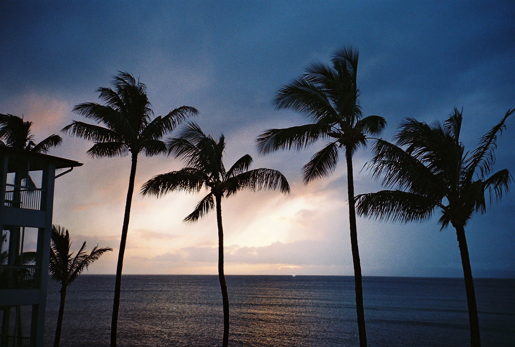 [Maui sunset]
